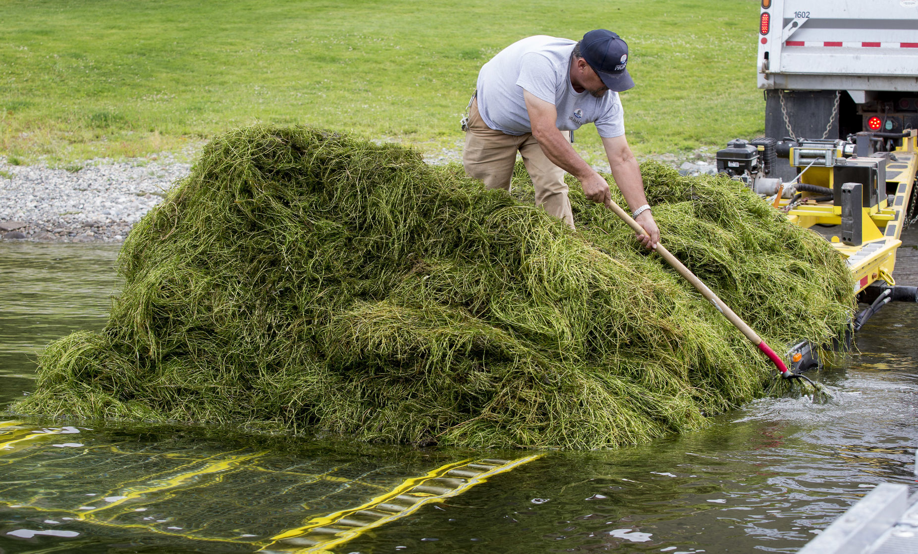 190719-newslocal-milfoilmowing 02.jpg
